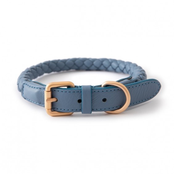 Duepuntootto Ferdinando Hundehalsband - Agof Store